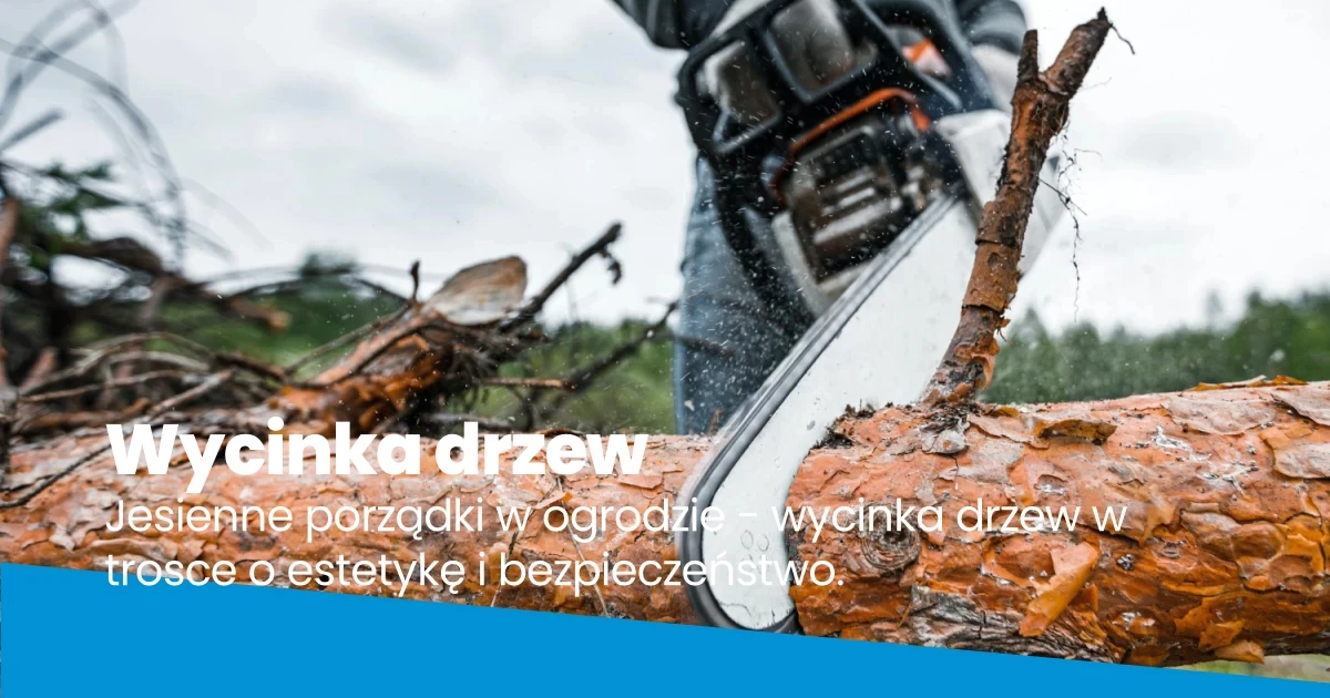 Wycinka drzew w trosce o estetykę i bezpieczeństwo Wycinka drzew w trosce o estetykę i bezpieczeństwo